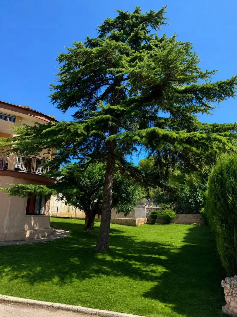 Jardín de Casa o chalet en venta en Torrent con Jardín privado, Terraza y Trastero