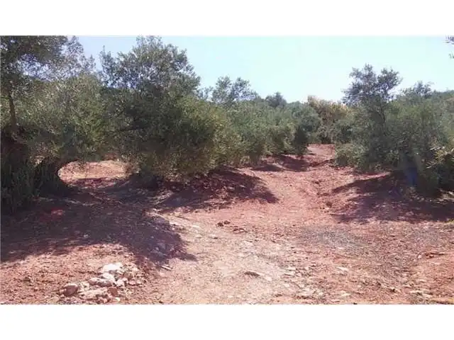Terreni e lotti in vendita a Navas de San Juan, imagen 7