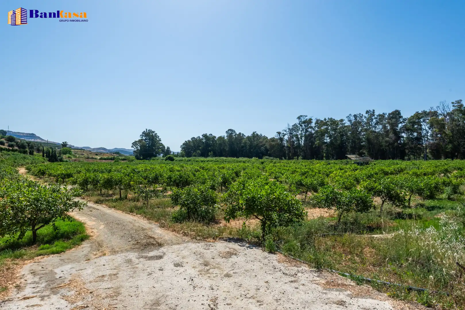 Terreno en venta en Pizarra