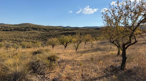 Finca de almendros en Padul, immagine 4