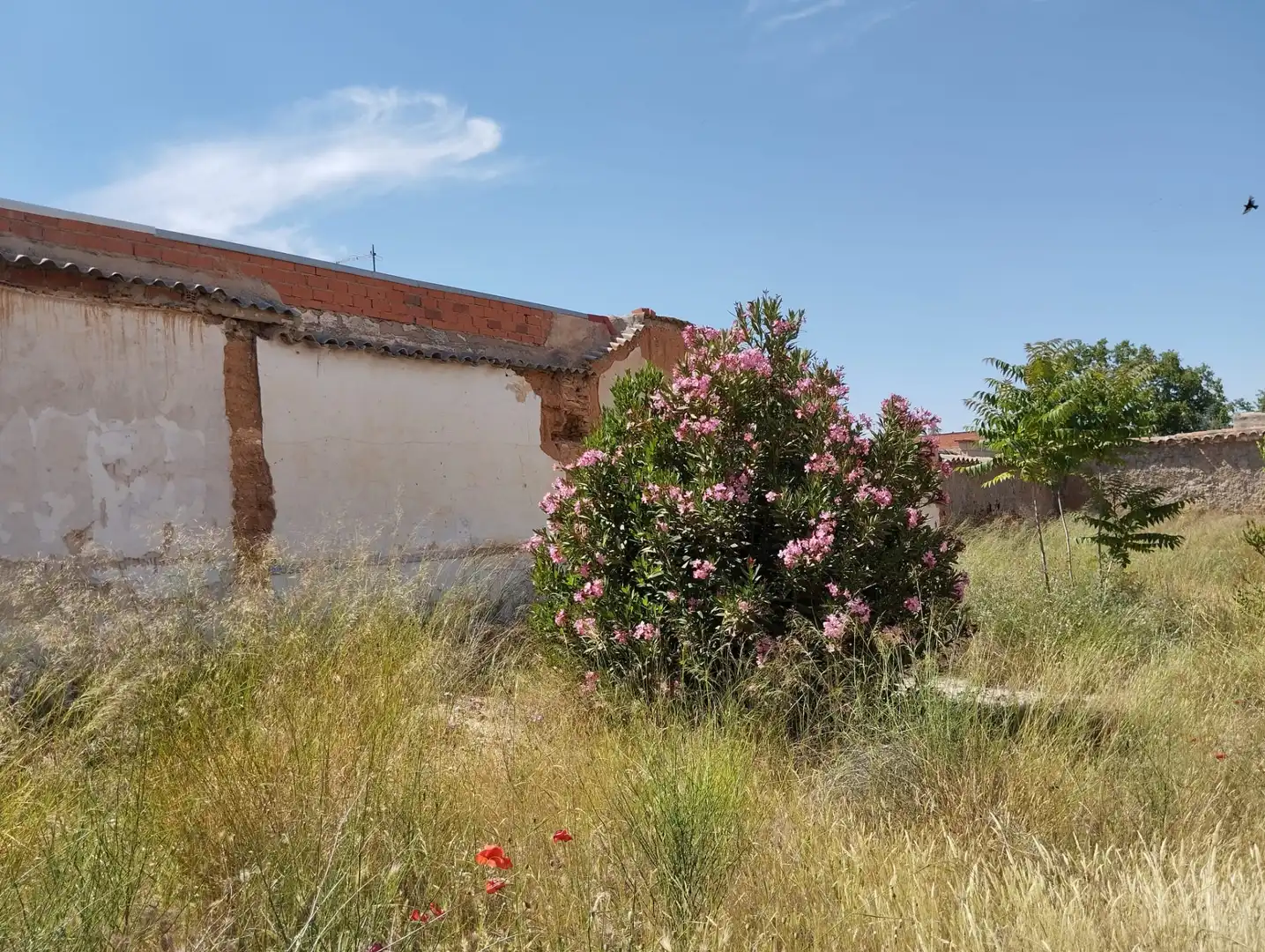 Terreny residencial en venda a Calle Don Gaiferos, imagen 11