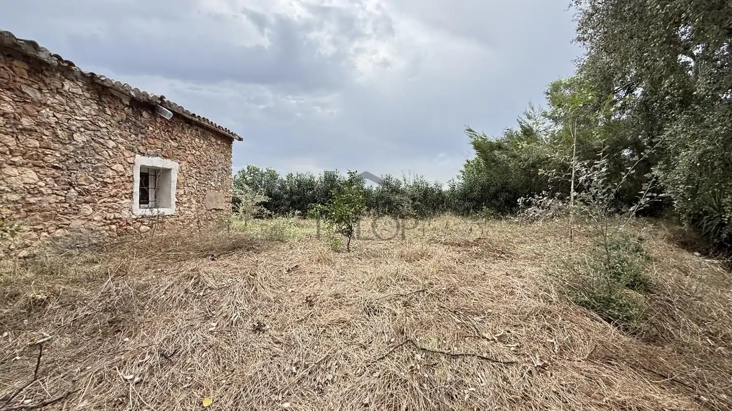 Maison rustique avec jardin à vendre à Carcaixent, imagen 16