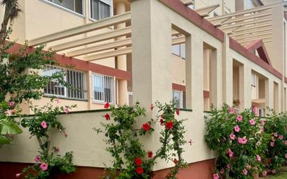 Exterior view of Planta baja for sale in Dénia  with Terrace, Furnished and Community pool