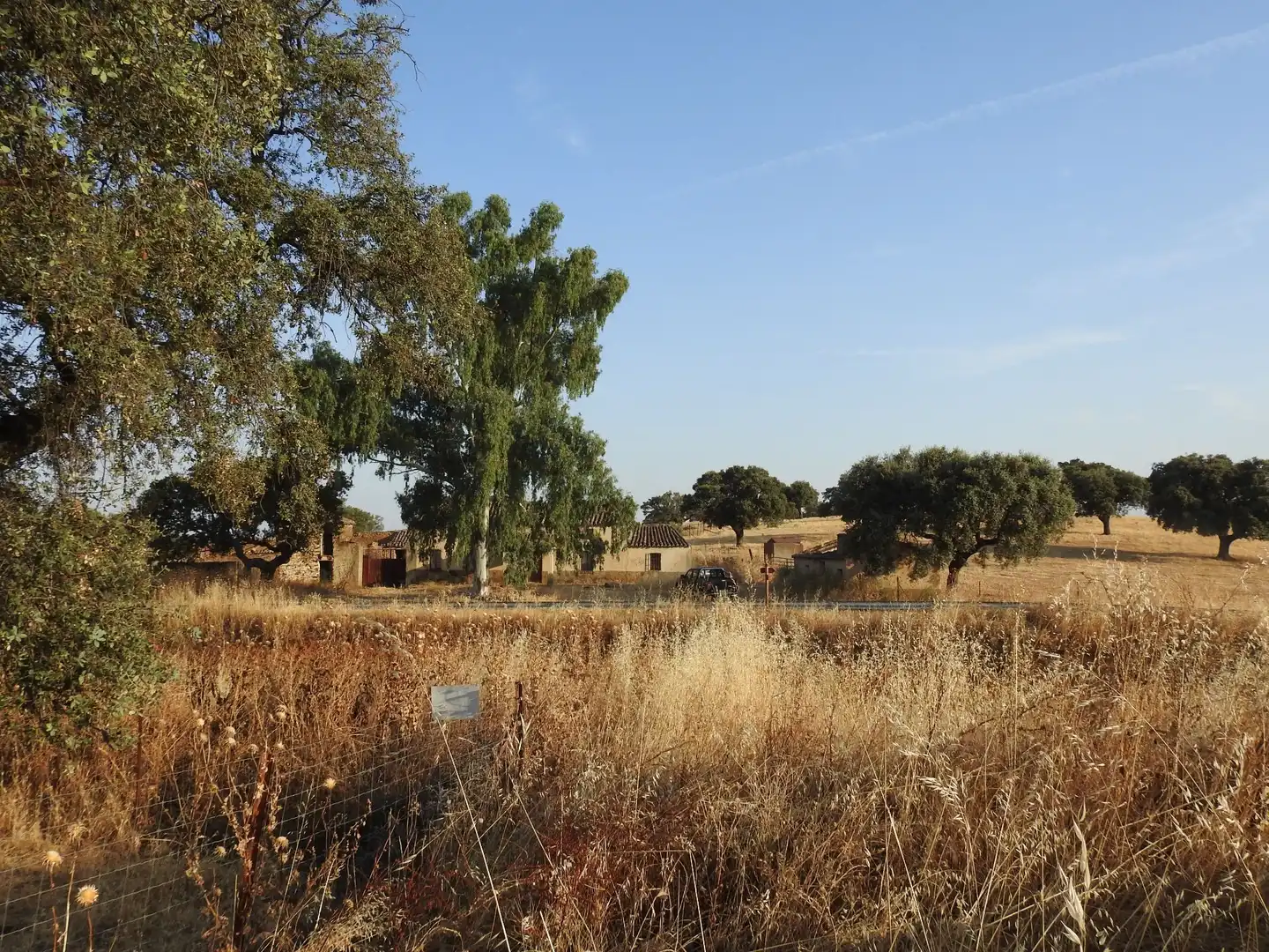 Land for sale in Villar del Pedroso