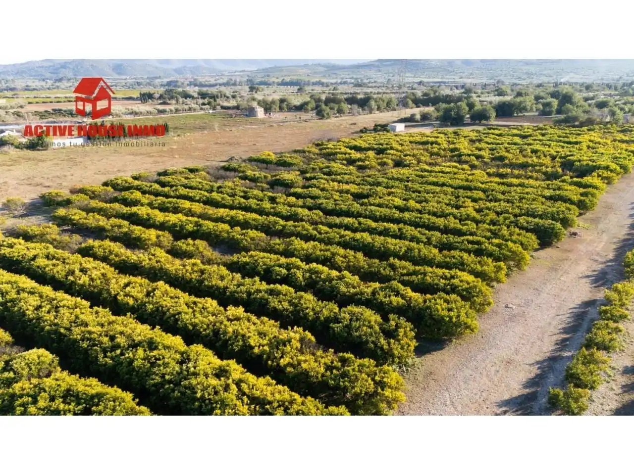 Terreno rustico in vendita a Calle Pol 12 Parc 100, imagen 2