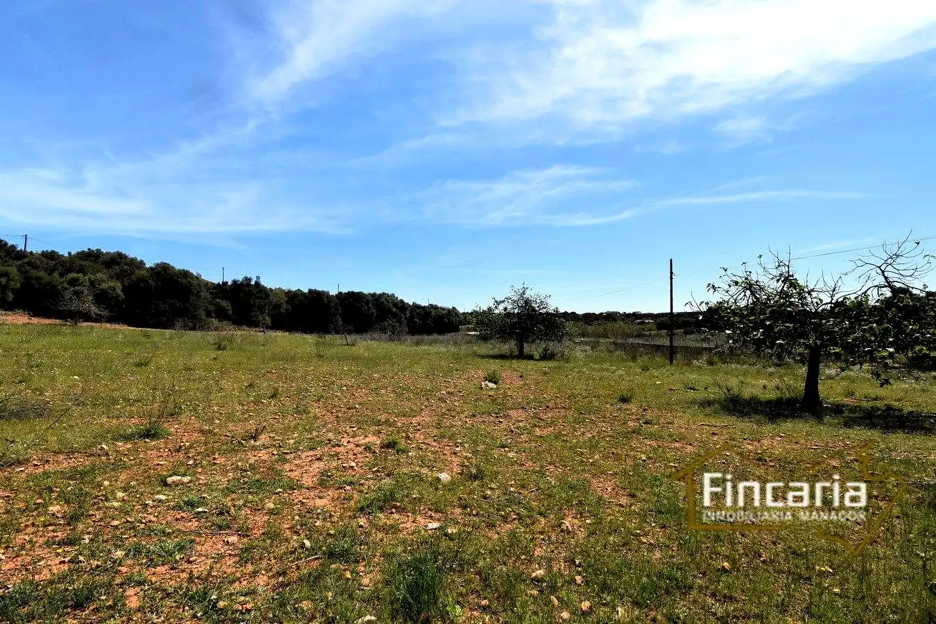 Rural land for sale in De La Torre Nova, imagen 9