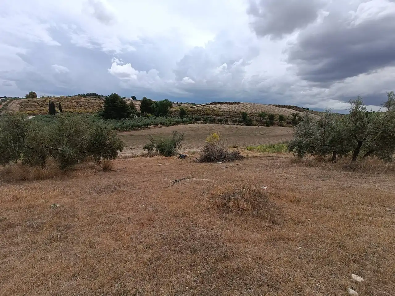 Rural land for sale in Moraleda de Zafayona, imagen 12