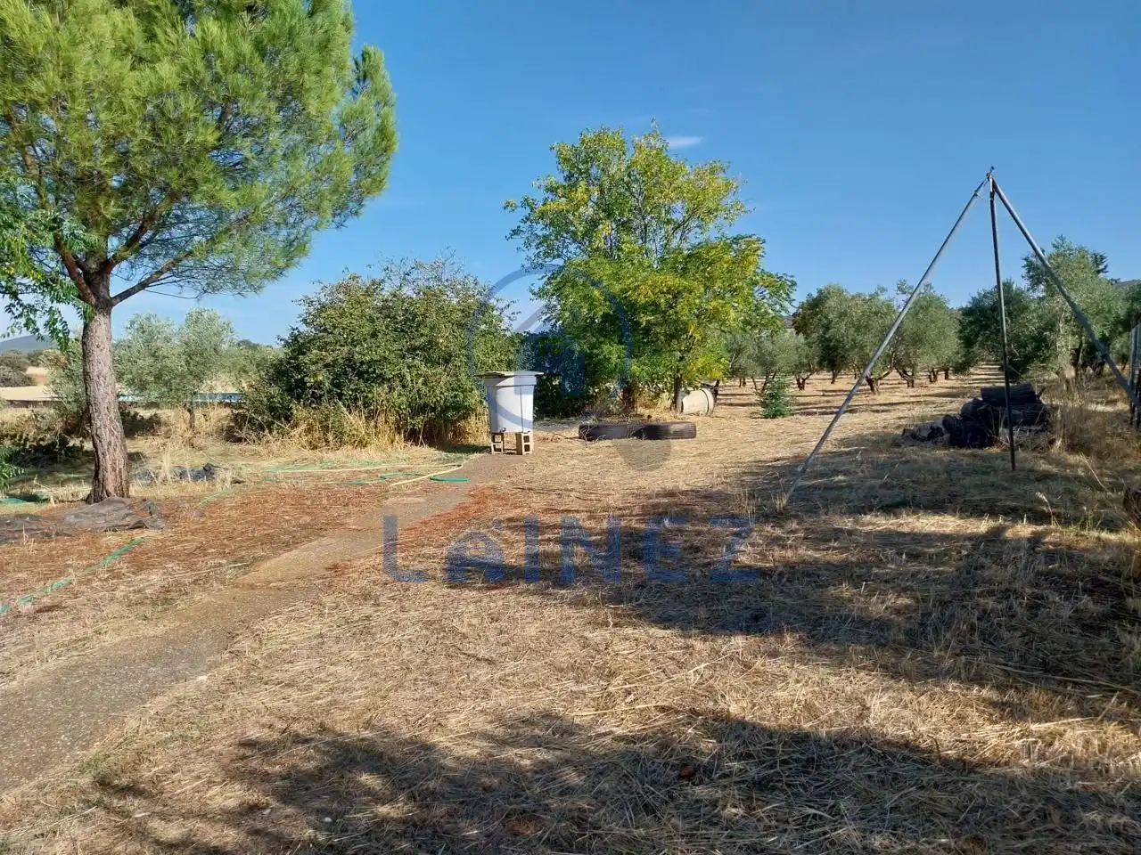 Terreny rústic en venda a Hinojosa del Duque, imagen 4