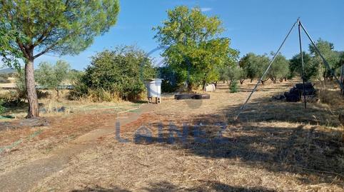 Photo 4 of Land for sale in Hinojosa del Duque, Córdoba