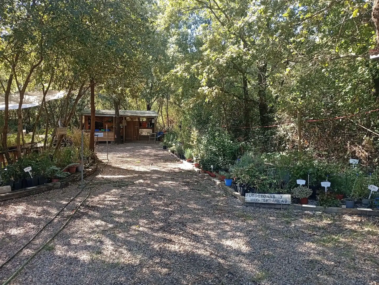 Terrain rustique à vendre à Villanueva de la Vera, imagen 20