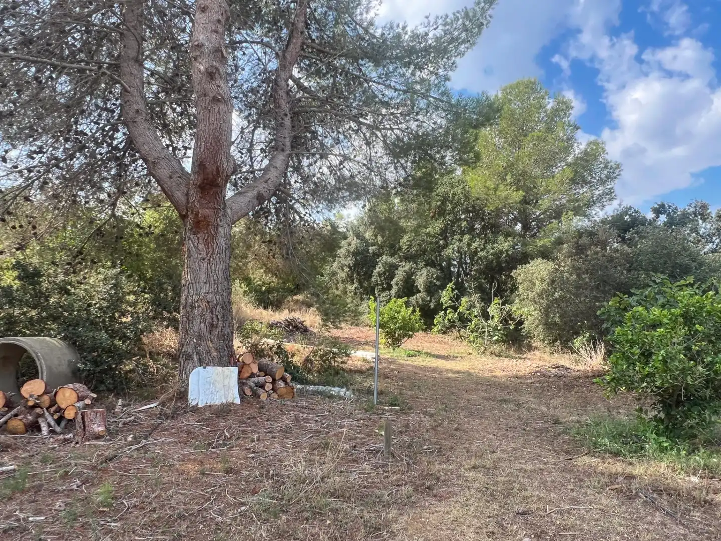 Finca rústica en venda en Les Borges del Camp amb Jardí privat, Traster i Piscina