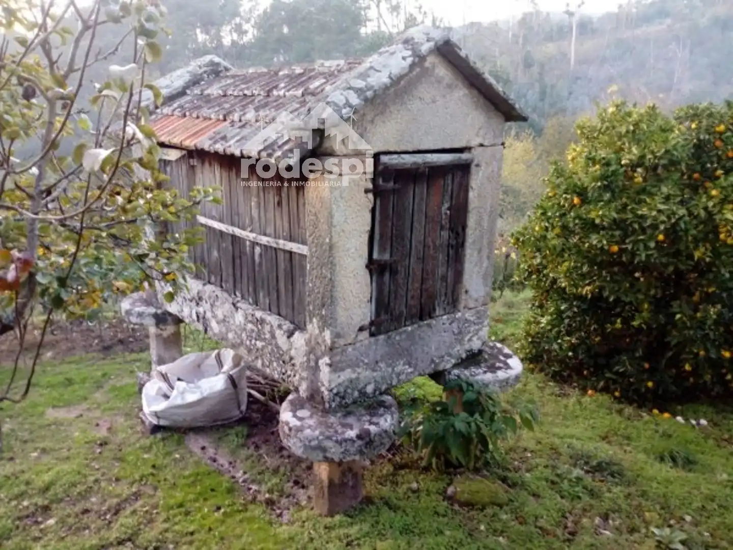 Jardín de Casa o chalet en venta en Arbo