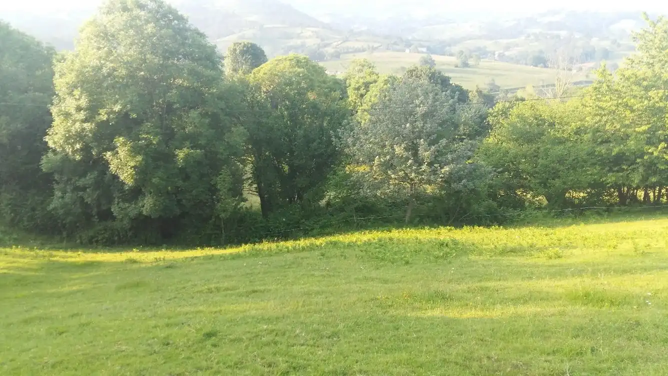Terrenos y solares en venta en Piloña, imagen 4