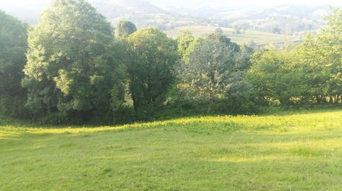 Finca edificable de 5.400 m2 en Piloña, imagen 4