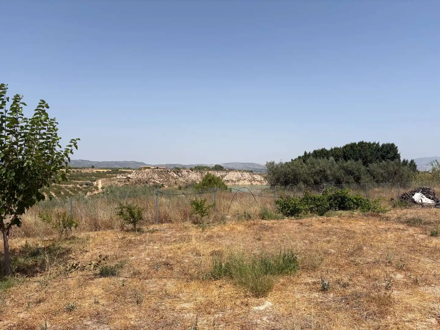 Terrenos y solares en venta en Pliego, imagen 6