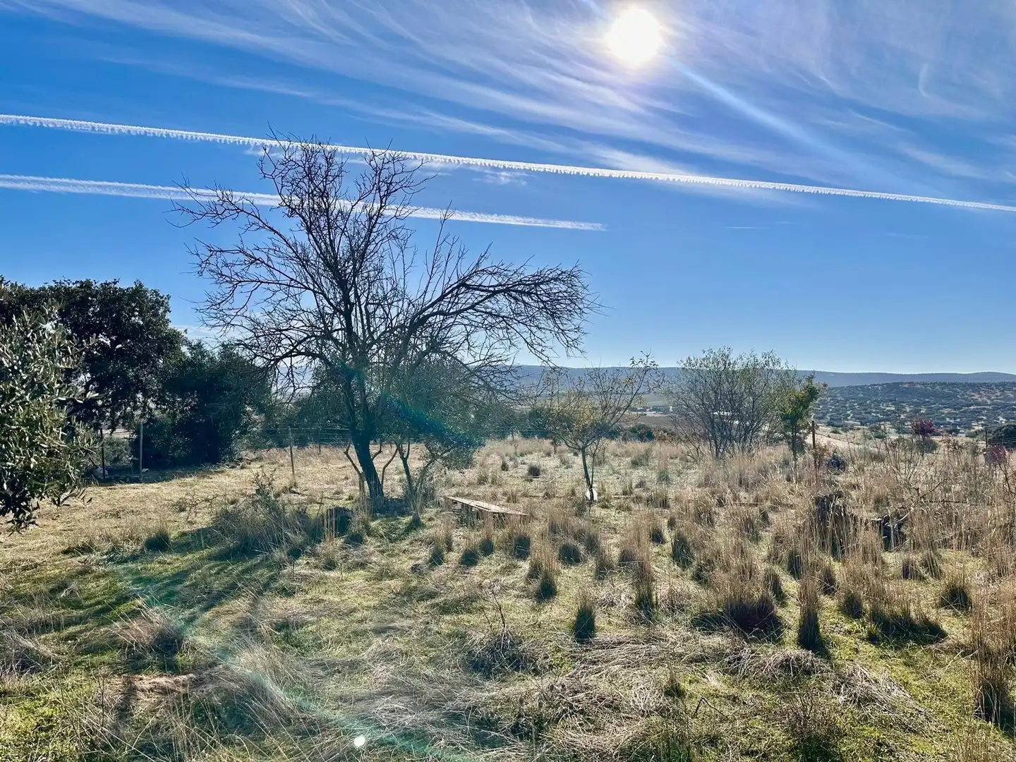 Rural land for sale in Fuente Obejuna, imagen 18