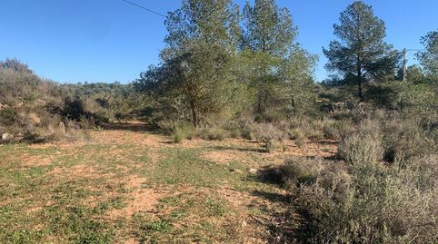 Asco - Parcela de terreno, media hectárea - buen acceso y bonitas vistas, immagine 4