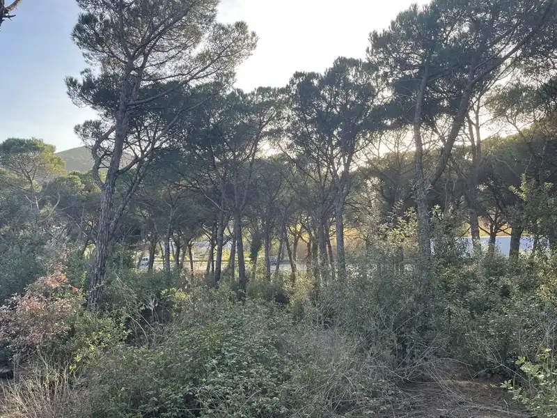 Rural land for sale in INDUSTRIAL CN II, POLIGONO 18, PARCELA 44, imagen 7