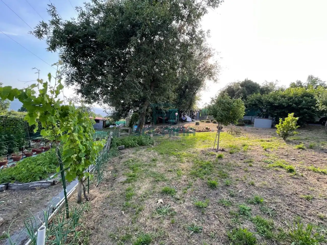 Terreni e lotti in vendita a Ventiun, imagen 4