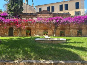Duplex con ascensore in affitto a Centre