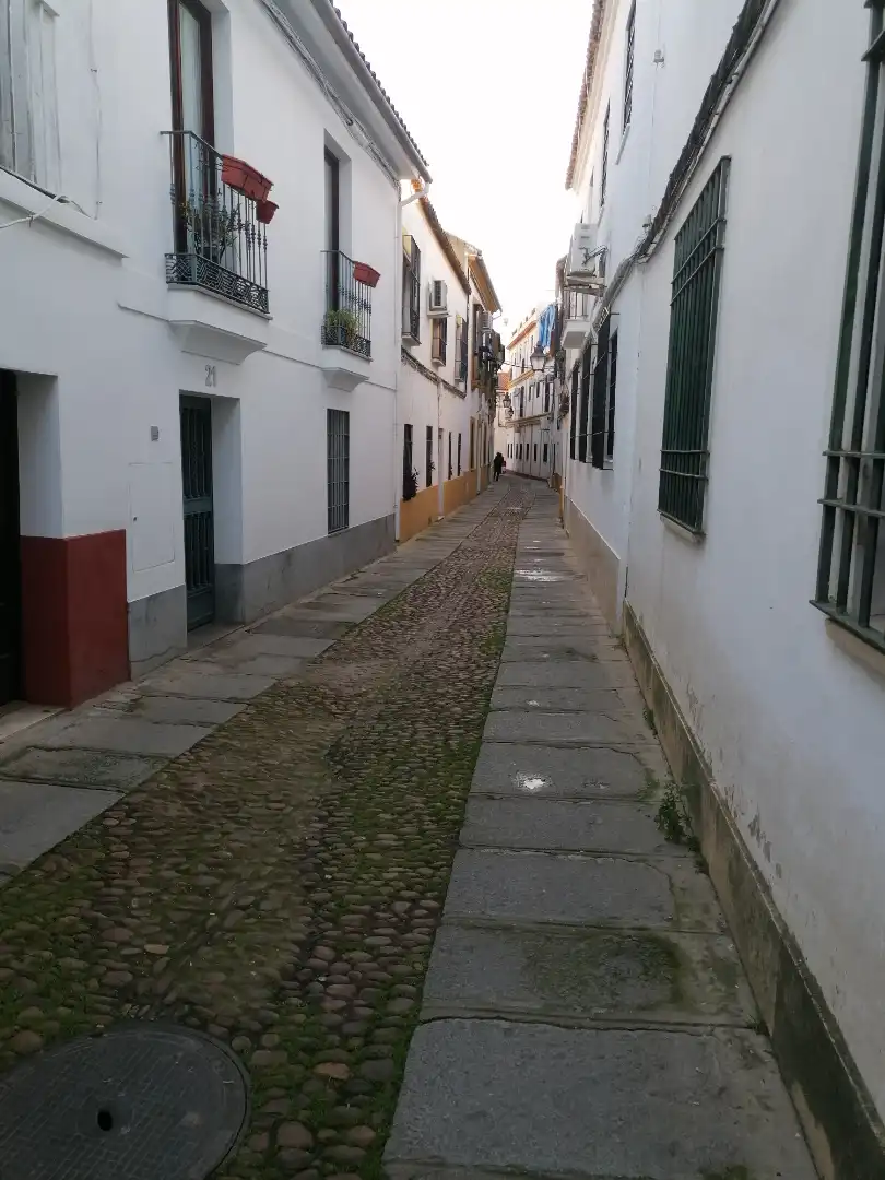 Casa amb jardí en venda a Calle Isabel II, imagen 2