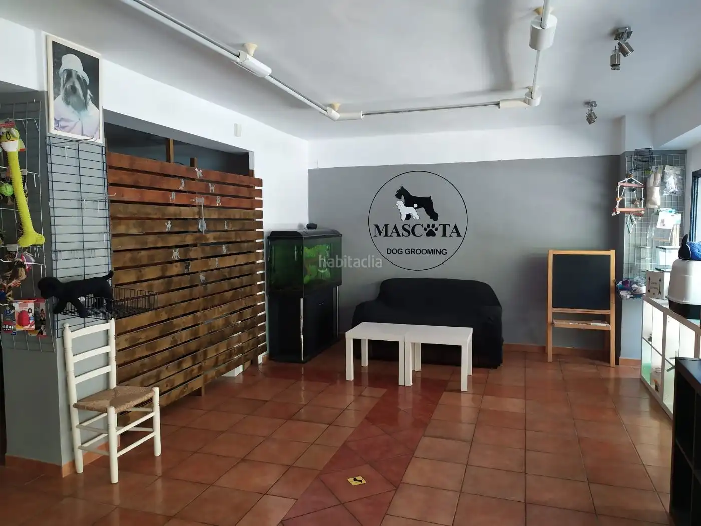Local comercial en venda a Avenida Vicente Ferri 45, imagen 19