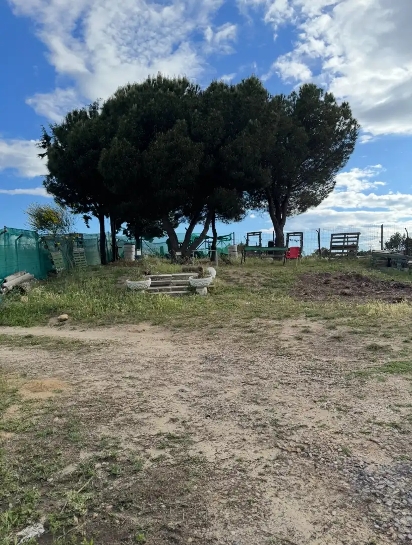 Finca rústica en venta en El Molar (Madrid) con Jardín privado, Terraza y Trastero