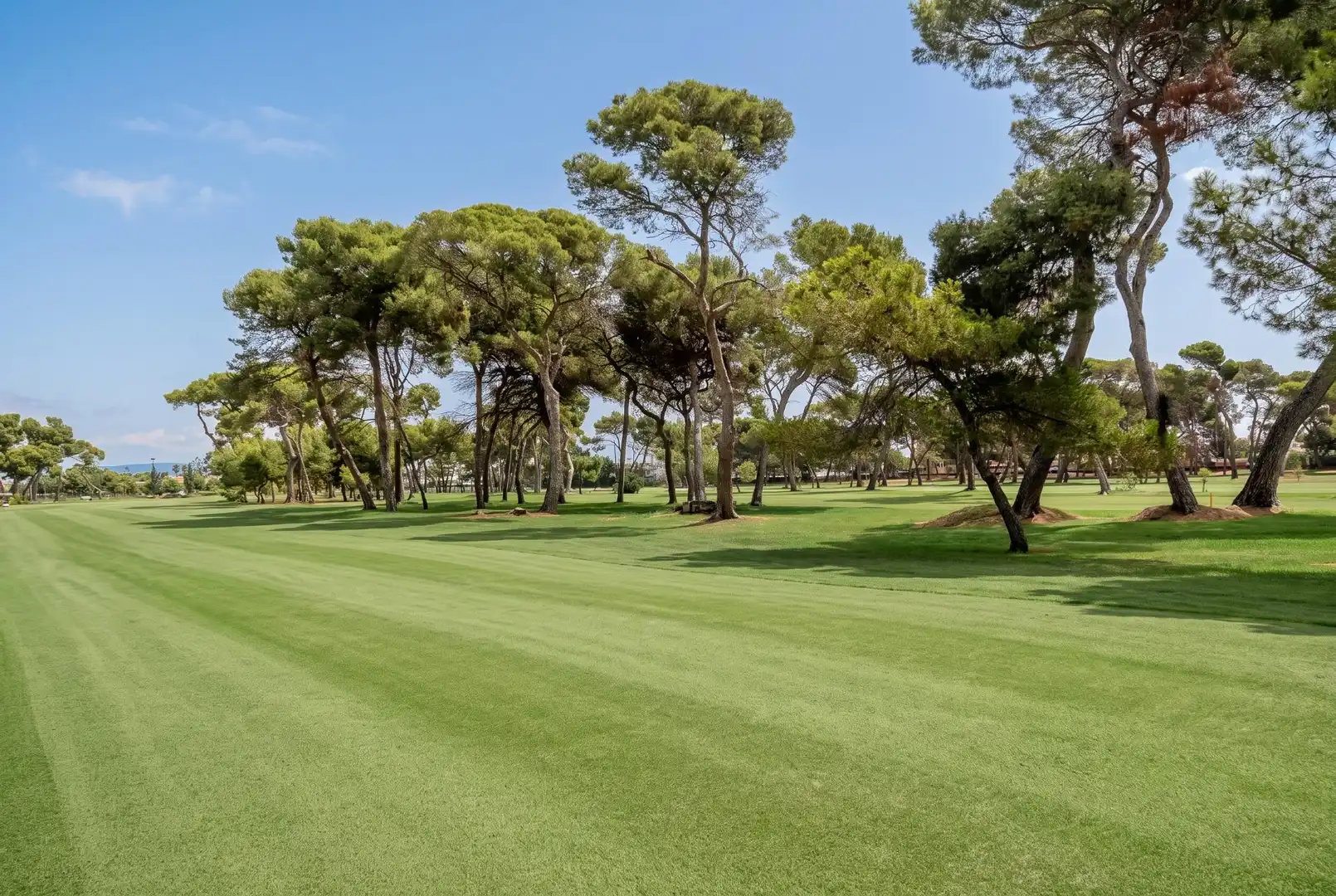 Vista exterior de Casa o xalet en venda en Castellón de la Plana / Castelló de la Plana amb Calefacció, Jardí privat i Terrassa
