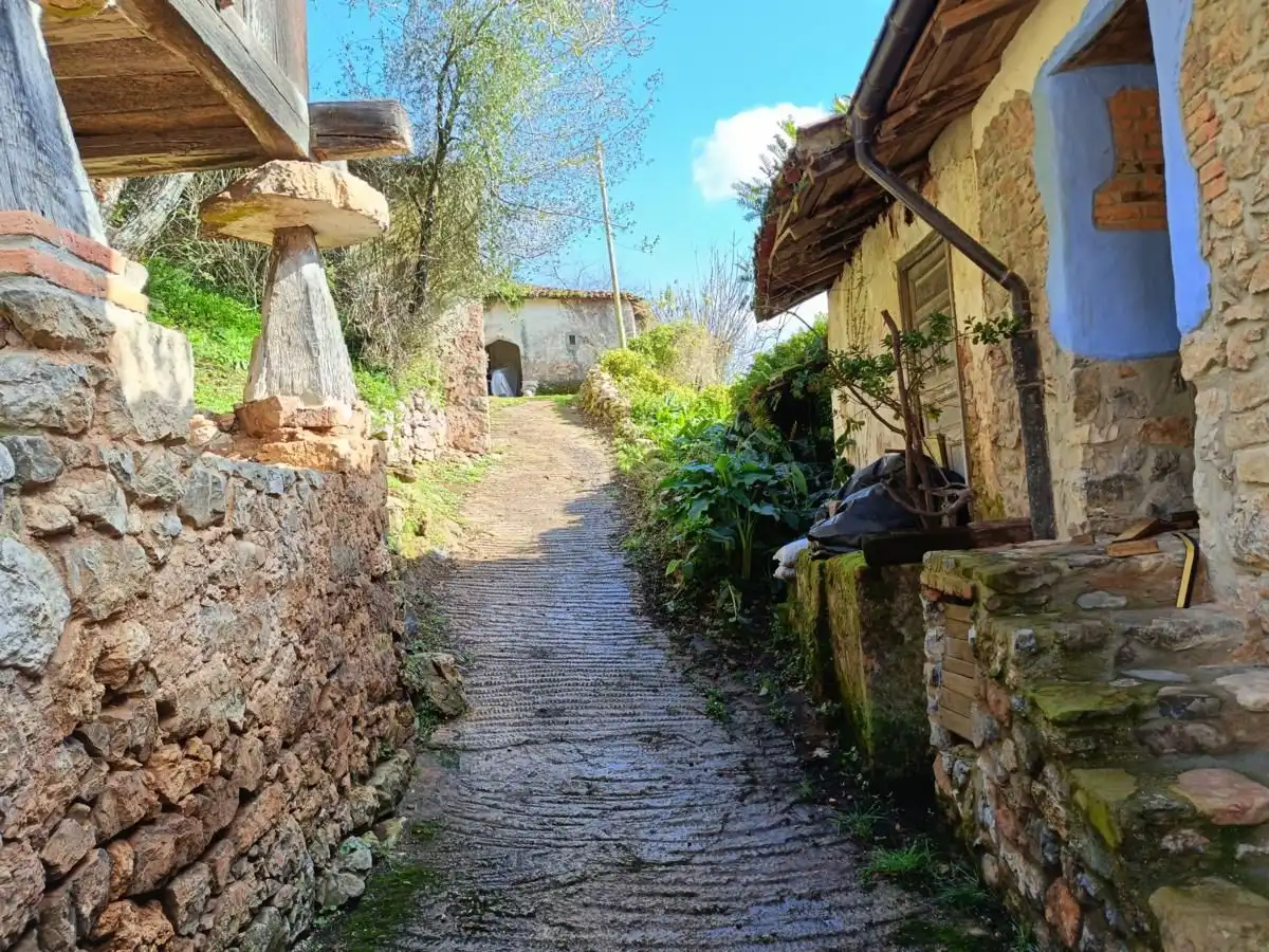 Terraced house for sale in Vibaña - Ardisana - Caldueño, imagen 44
