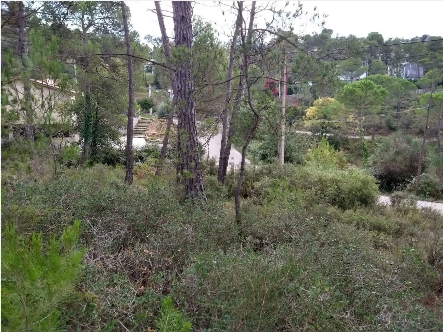 Terreny residencial en venda a Urbanitzacio Font Bosc 1835, imagen 3