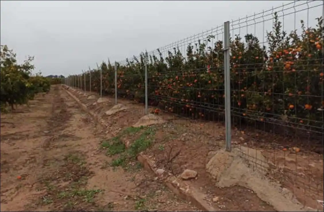 Terreno rustico in vendita a Partida Ramblar, Pol 20, imagen 6