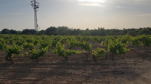 Foto 4 de Residencial en venta en las Cortazas, Norte - Blanca Paloma, Rota