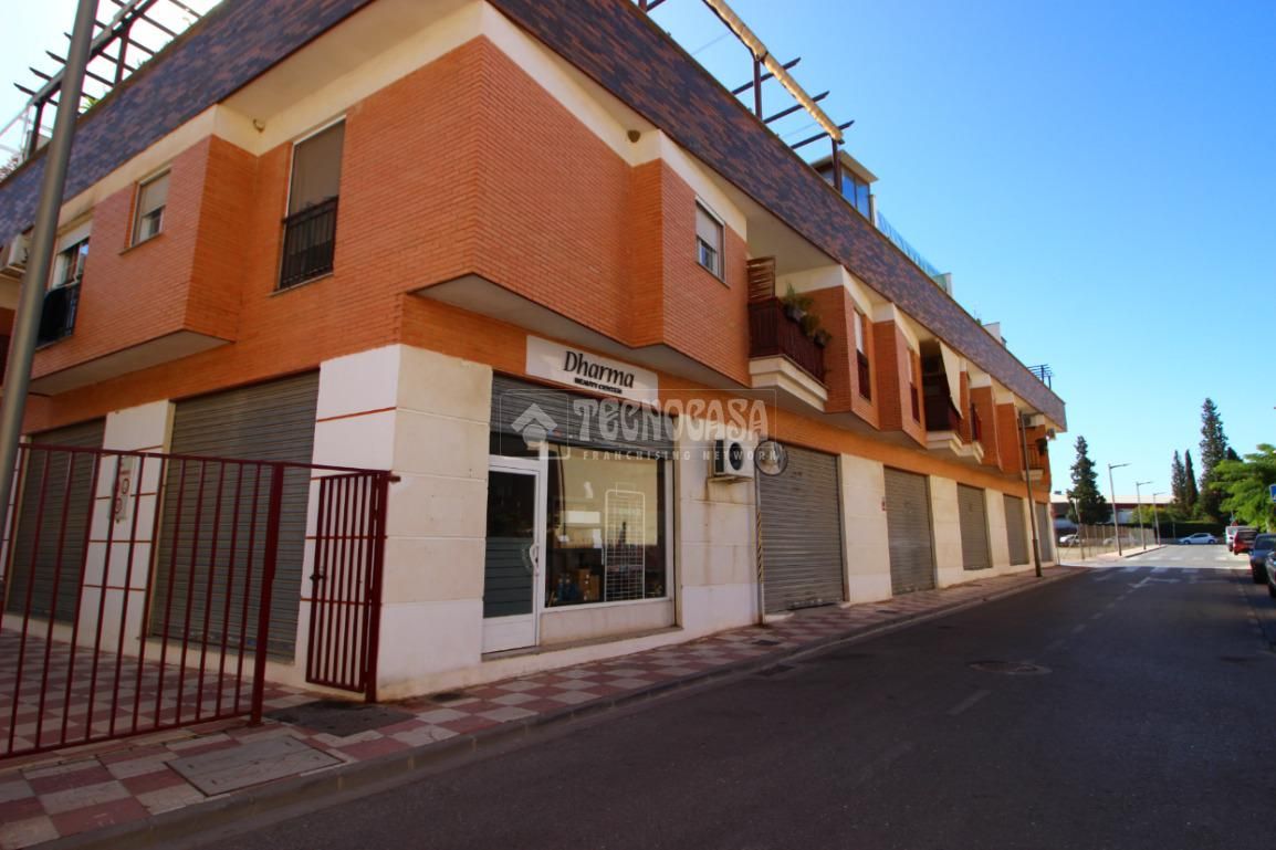 Exterior view of Premises for sale in Churriana de la Vega