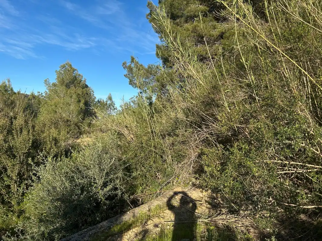 Finca rústica en venda en Oliva amb Moblat