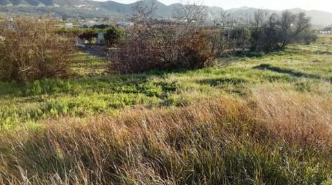 Solvia Inmobiliaria  Suelo otros Canals, immagine 3