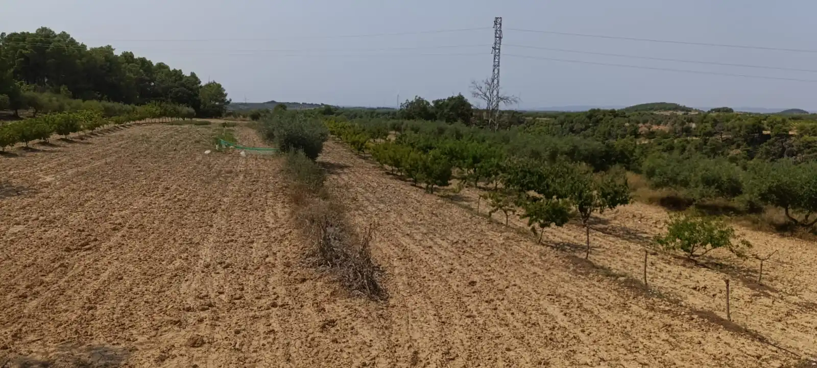 Residencial en venda en Vilalba dels Arcs