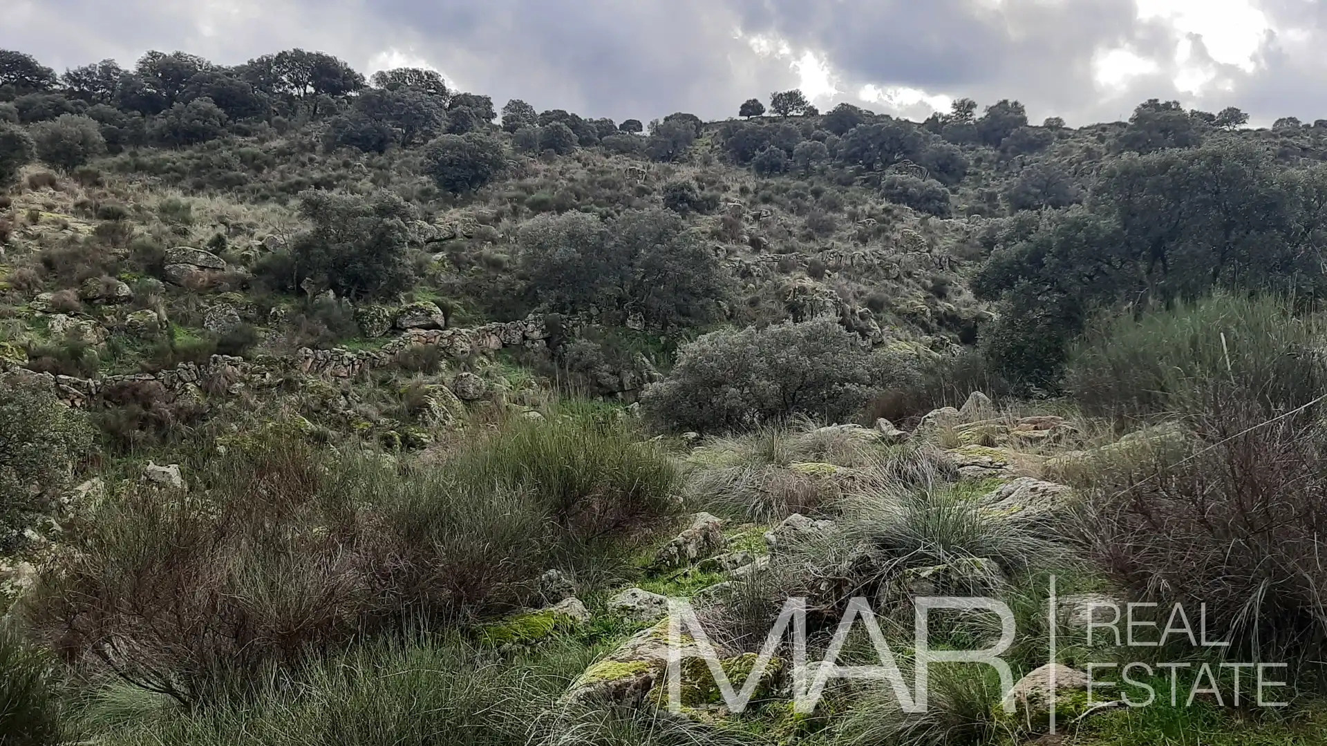 Terreni e lotti in vendita a Villar del Pedroso, imagen 40