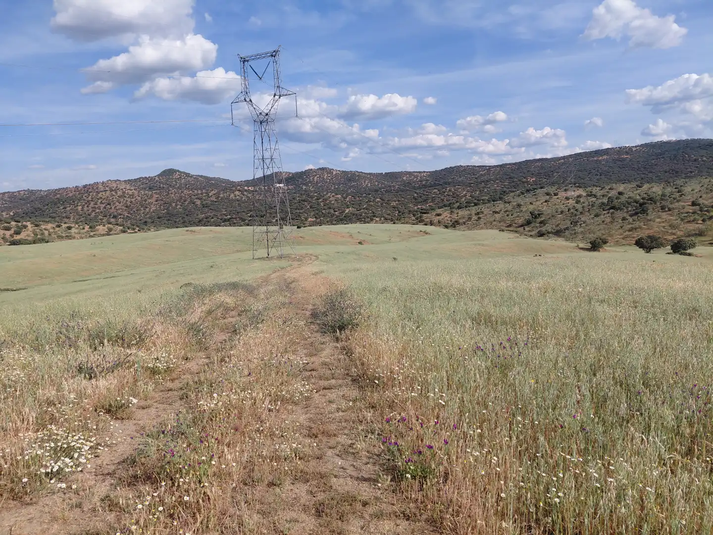 Finca rústica en venda en Fuente de Cantos amb Jardí privat, Forn i Rentadora
