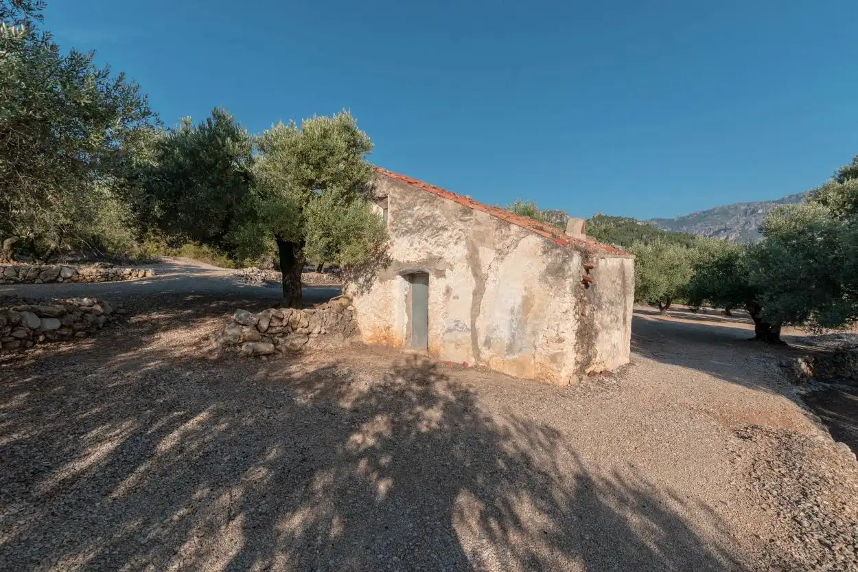 Vista exterior de Finca rústica en venta en Mas de Barberans con Trastero