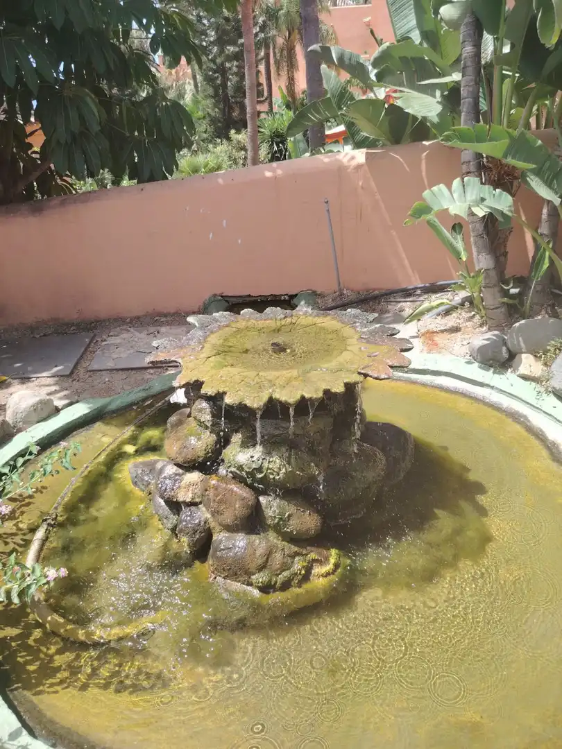 Jardí de Casa o xalet en venda en Mijas amb Calefacció, Jardí privat i Terrassa