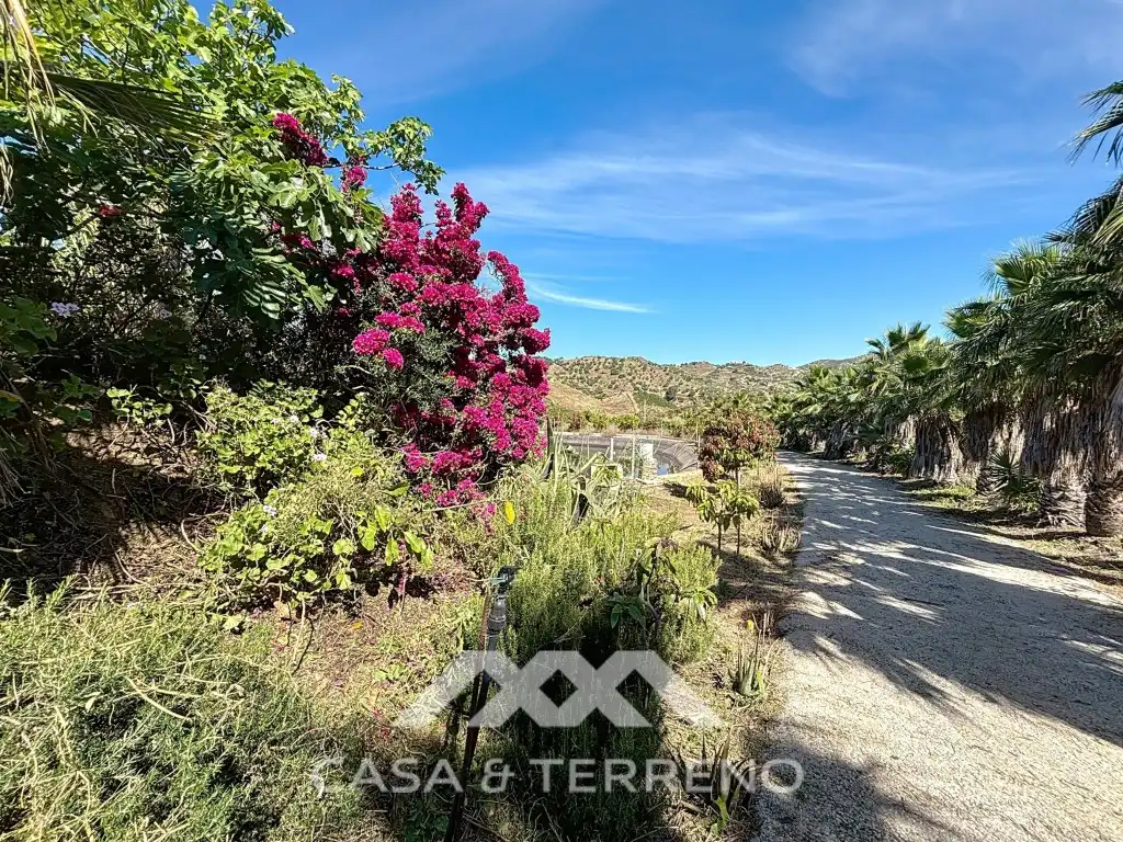 Vista exterior de Casa o xalet en venda en Vélez-Málaga amb Aire condicionat, Jardí privat i Terrassa