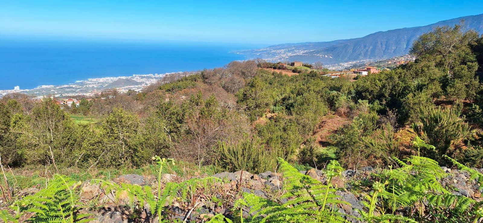 Exterior view of Country house for sale in Los Realejos  with Private garden and Terrace