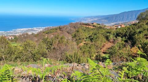 Photo 2 of Country house for sale in Carretera las Llanadas, Palo Blanco, Santa Cruz de Tenerife