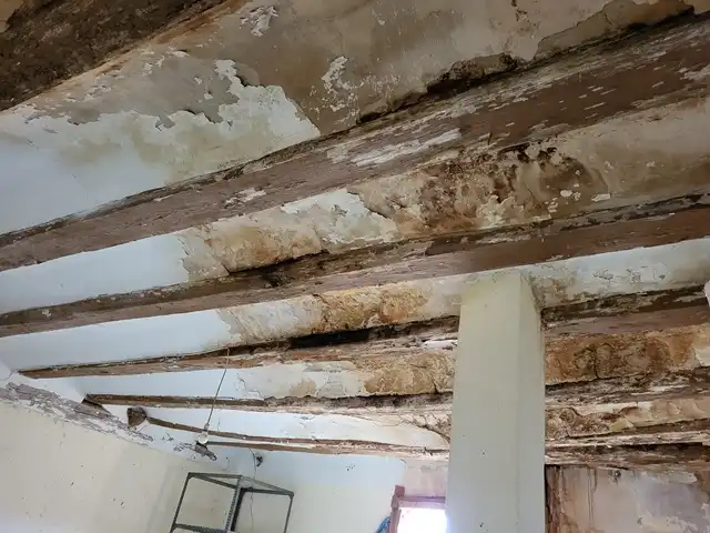 Terreni e lotti in vendita a Pedanías, imagen 8