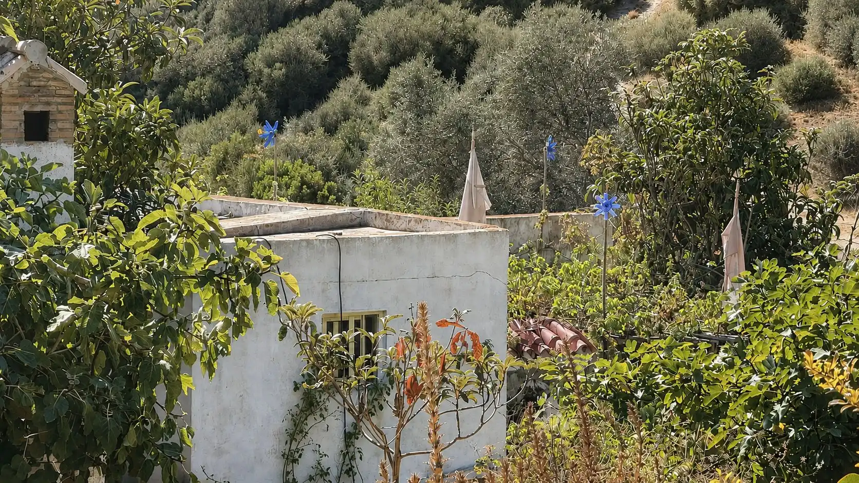 Maison à vendre à Tarifa ciudad, imagen 8