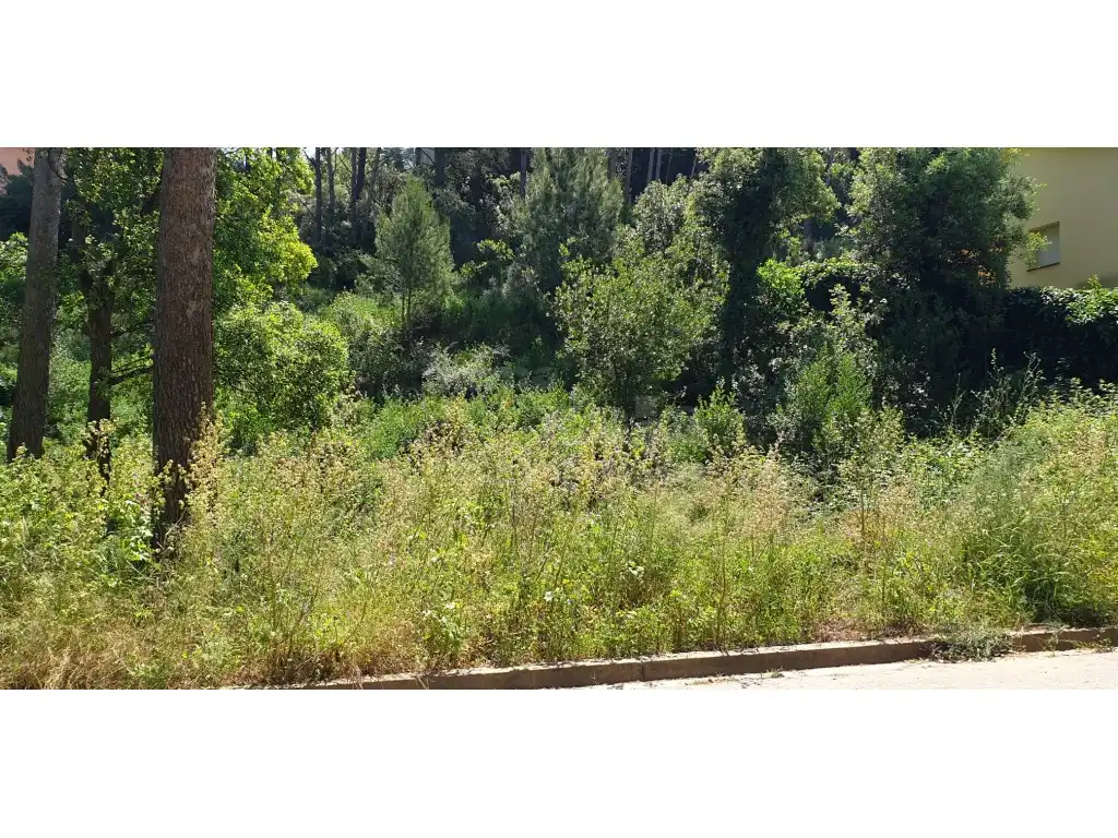 Terrain résidentiel à vendre à Platja de Pals, imagen 7