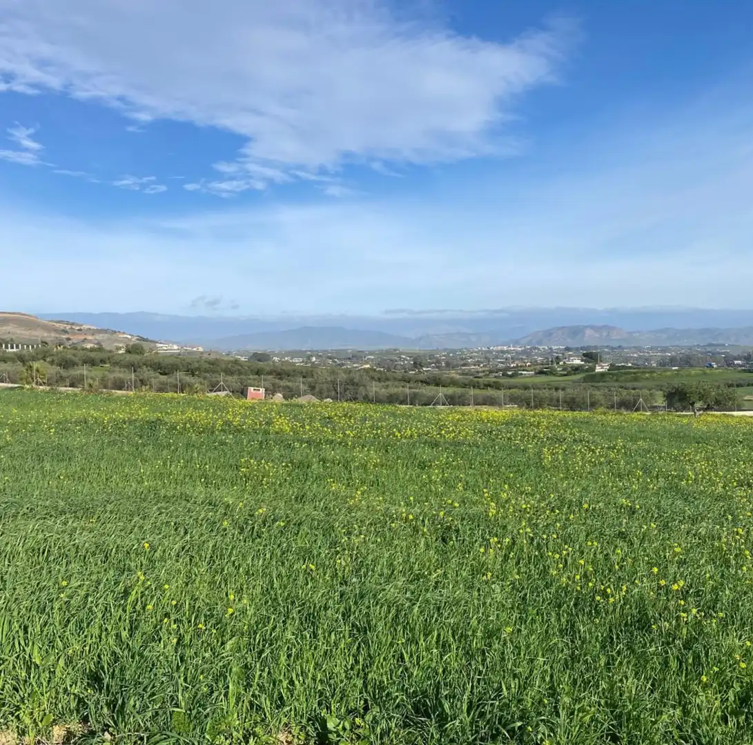 Rural land for sale in La Rosa, imagen 4