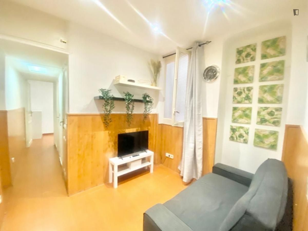 Sala d'estar de Apartament de lloguer en  Madrid Capital amb Moblat, Rentadora i Internet