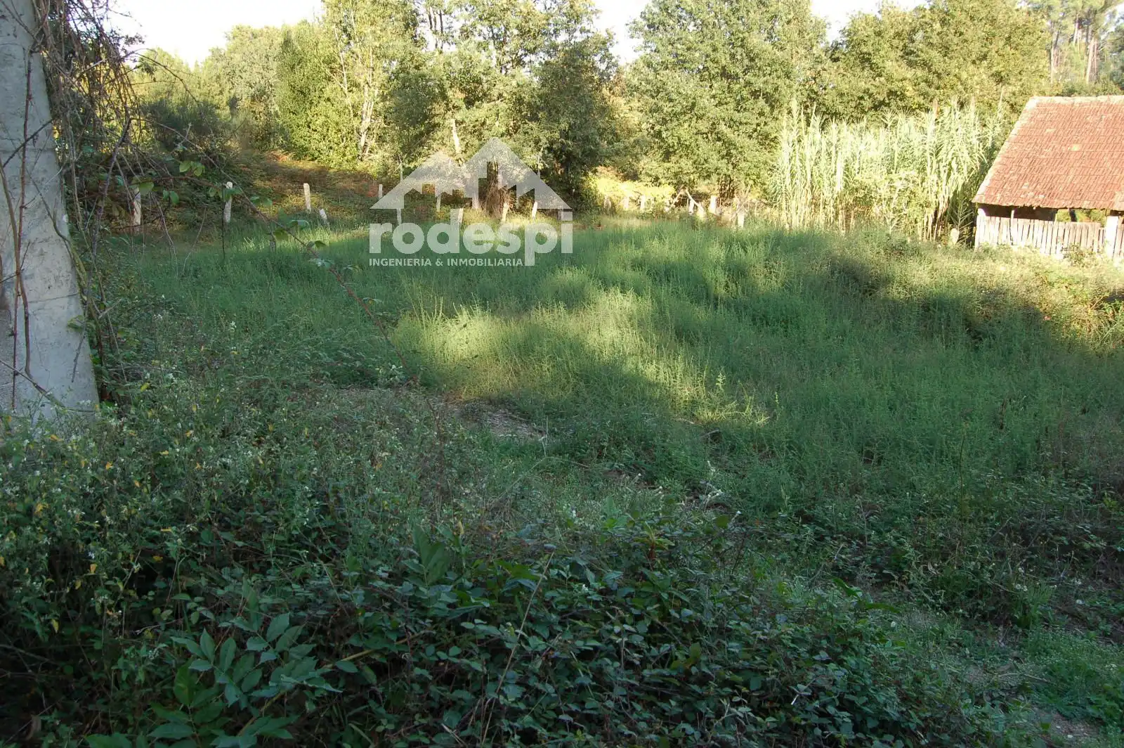 Terreny rústic en venda a Salvaterra de Miño, imagen 9