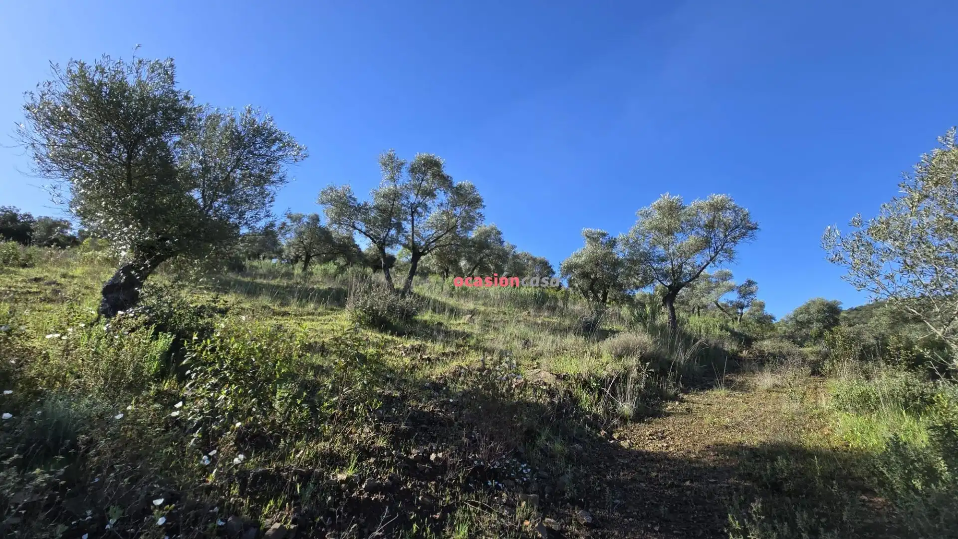 Casa o chalet en venta en Pozoblanco con Jardín privado, Terraza y Trastero